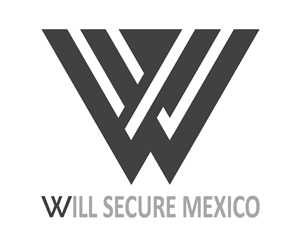 Will Secure México - Edgardo Fernández Consultor de posicionamiento SEO